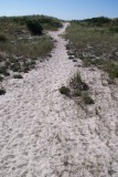 Another dune walkway