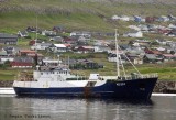 Grani KG 524