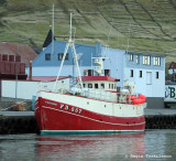 Fiskivarði FD 557