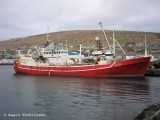 Havørnin FD 290