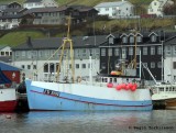 Sjóstjørnan FD 1092