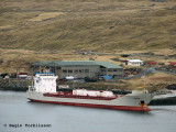 Cemsea