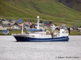 Trndur  Gtu FD 175