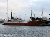 Thor VN 87