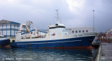 Brestir TN 705