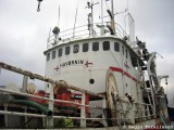 Havørnin FD 290