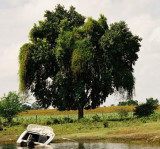 New River - Mennonite farmland