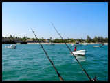 Kenya fishing (16).JPG