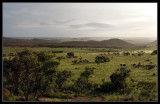  Bronkhorstspruit Gamefarm