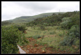  Bronkhorstspruit Gamefarm
