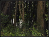 Mapelane Camp