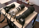 toomanycameras1.jpg