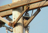 No. Memphis - Scissor-t -Western KB hybrid young on nest 6-30-07