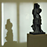 Jaques Lipschitz and its Shadow