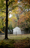Fall At The Gardens L