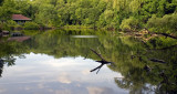 McFaul Environmental Center, NJ