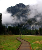 Meadow_Boardwalk.jpg