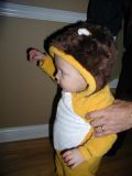 scary lion!