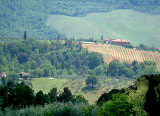 Countryside west of Florence  7291