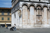 Chiesa di San Michele in Foro  7555