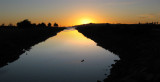 susnet_1220 copy.jpg