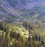 c_4252.jpg