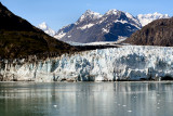 Johns Hopkins glacier