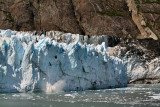 c_4510.jpg