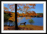 D2-168-169-170 HDR-sml.jpg