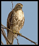 1-28-07-B-196s.jpg