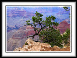 2007-7-16 Grand Canyon day 1 - 205 copy.jpg