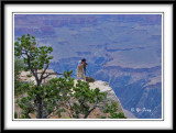 2007-7-16 Grand Canyon day 1 - 220 copy.jpg