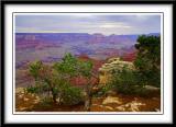 2007-7-16 Grand Canyon day 1 - 167_6_5.jpg