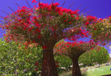 2007-7-19 Getty Ctr159.jpg