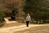 Covered Bridge