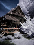 Infrared_PICT1195.jpg