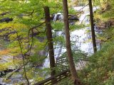 brandywine falls