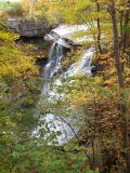 the falls in fall