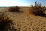 Desert at AZRAQ 5.JPG