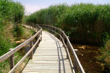 Al-Azraq Water Reserve 1.JPG