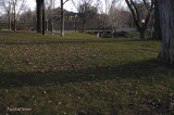 Parc Lafontaine  pict6419.jpg