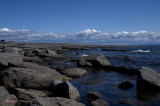Port au Choix pict3887.jpg