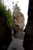 Nouveau Brunswick, La route de retour, Baie de Fundy pict4702.jpg