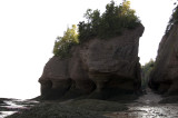 Nouveau Brunswick, La route de retour, Baie de Fundy pict4718.jpg