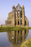 Whitby Abbey