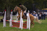 Blair HorseTrial Entrant 515