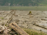 mudflats 2.jpg