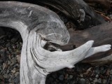 Driftwood face.jpg