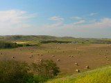 Bales, near Hardisty