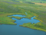 Wetlands on Johnnys Lake